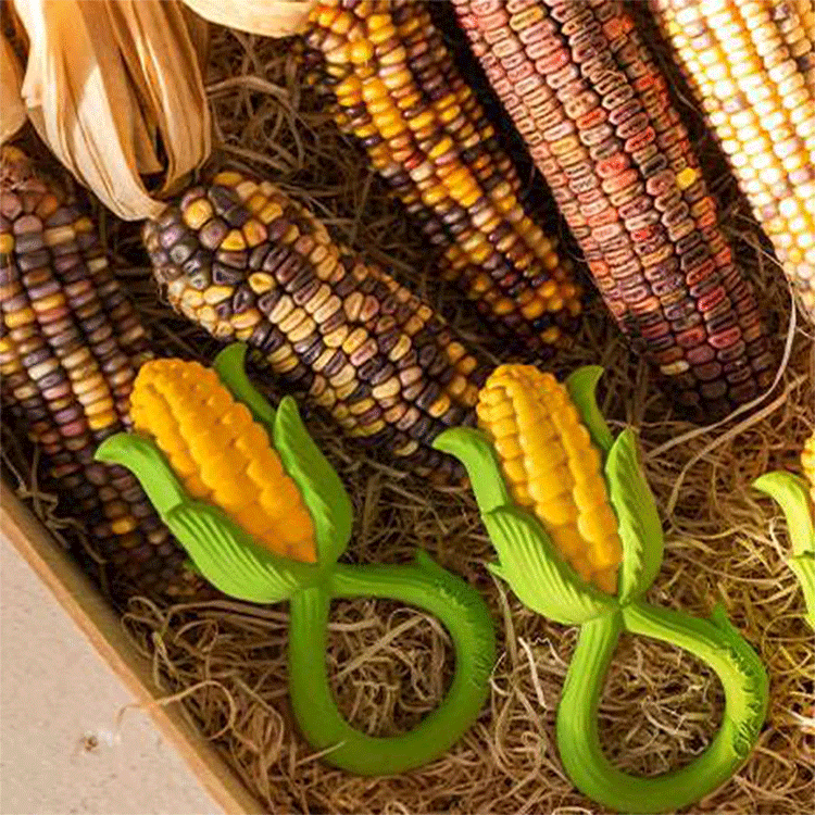 Organic Corn Baby Rattle & Teether Toy by Oli and Carol - Natural Wooden Sensory Toy for Infants 0-12 Months, Perfect for Soothing Teething Pain & Early Development Playtime at Home or On-the-Go