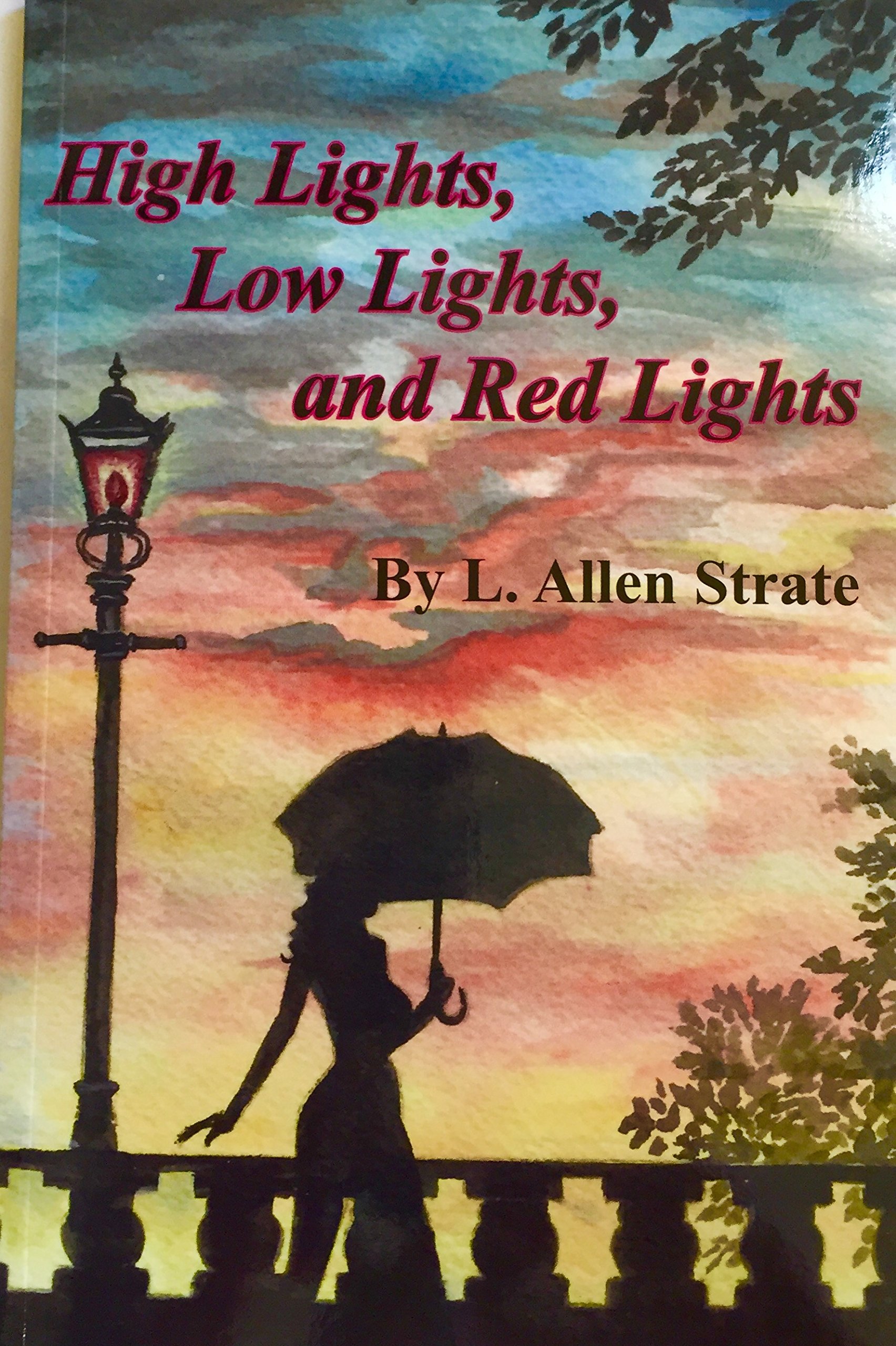 Highlights, Lowlights & Red Lights Hair Dye - Best for Ombre, Balayage & Creative Hair Coloring at Home