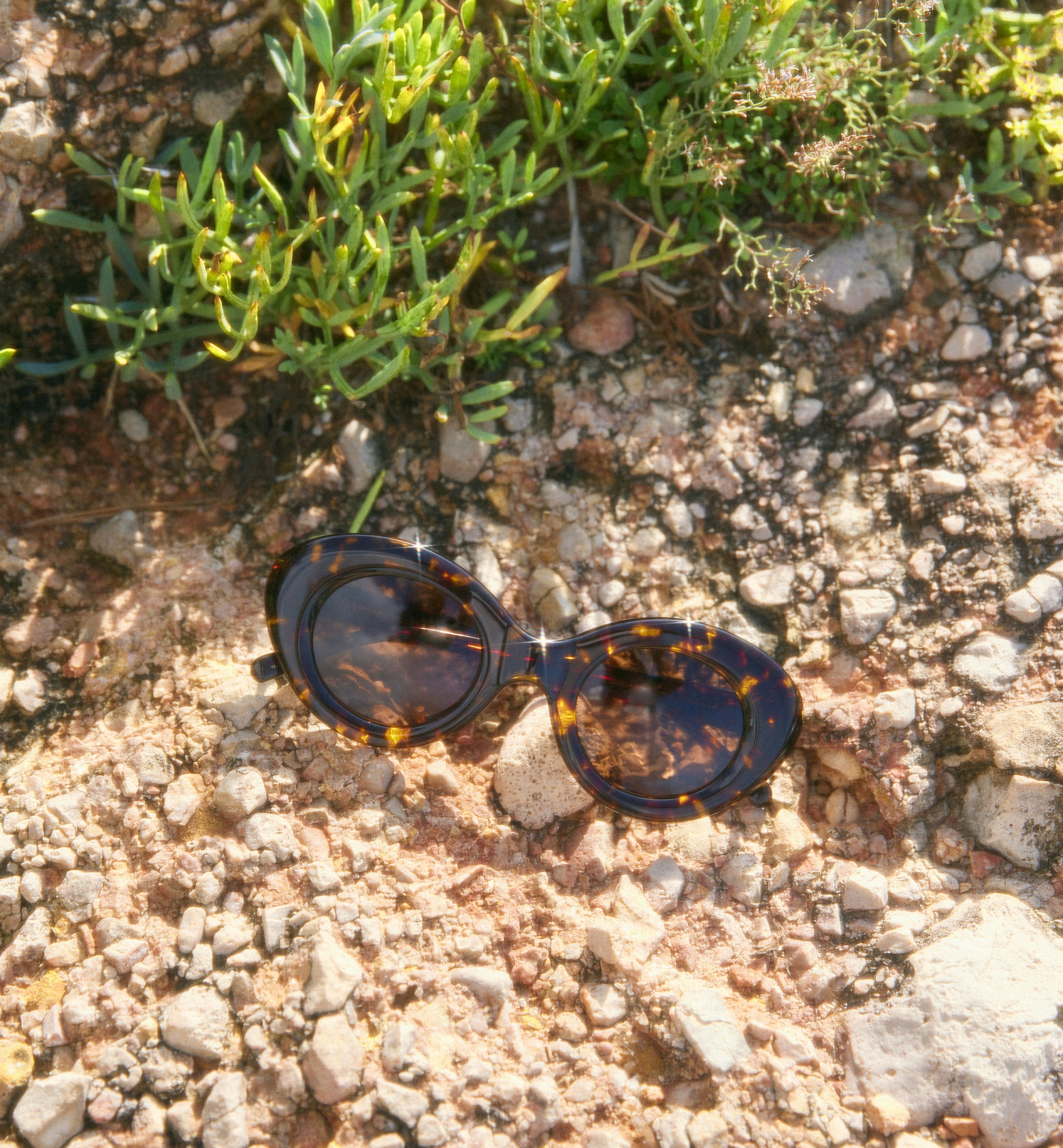 Seascape Polarized Sunglasses for Men & Women - UV Protection, Lightweight & Stylish - Perfect for Beach, Driving & Outdoor Activities