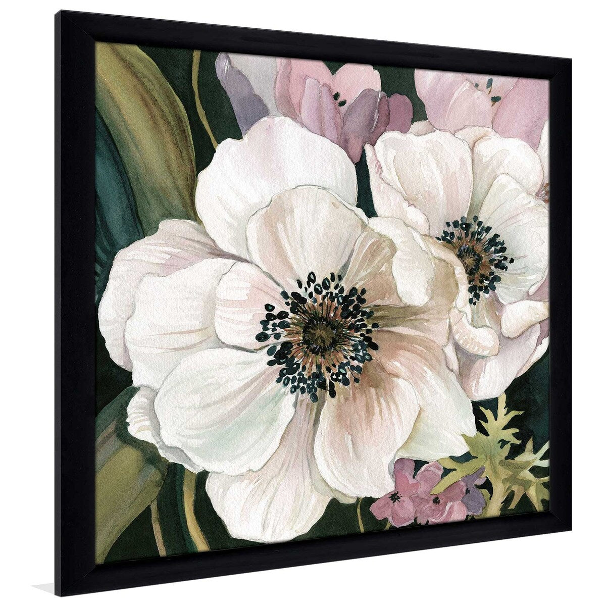 Anemone Study I by Carol Robinson - Vibrant Floral Art Print on Acrylic - Perfect for Home Decor, Office Wall Art & Gift Giving