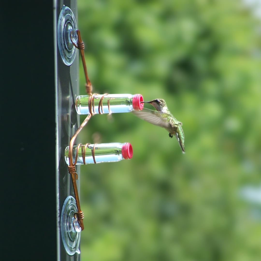 Modern Geometric Window Hummingbird Feeder - Handcrafted Copper & Aluminum Design with Multiple Feeding Stations | Elegant Glass Bottles & Strong Suction Cups | Perfect for Home Décor, Bird Watching & Outdoor Relaxation | Attract Hummingbirds to Your Garden or Balcony