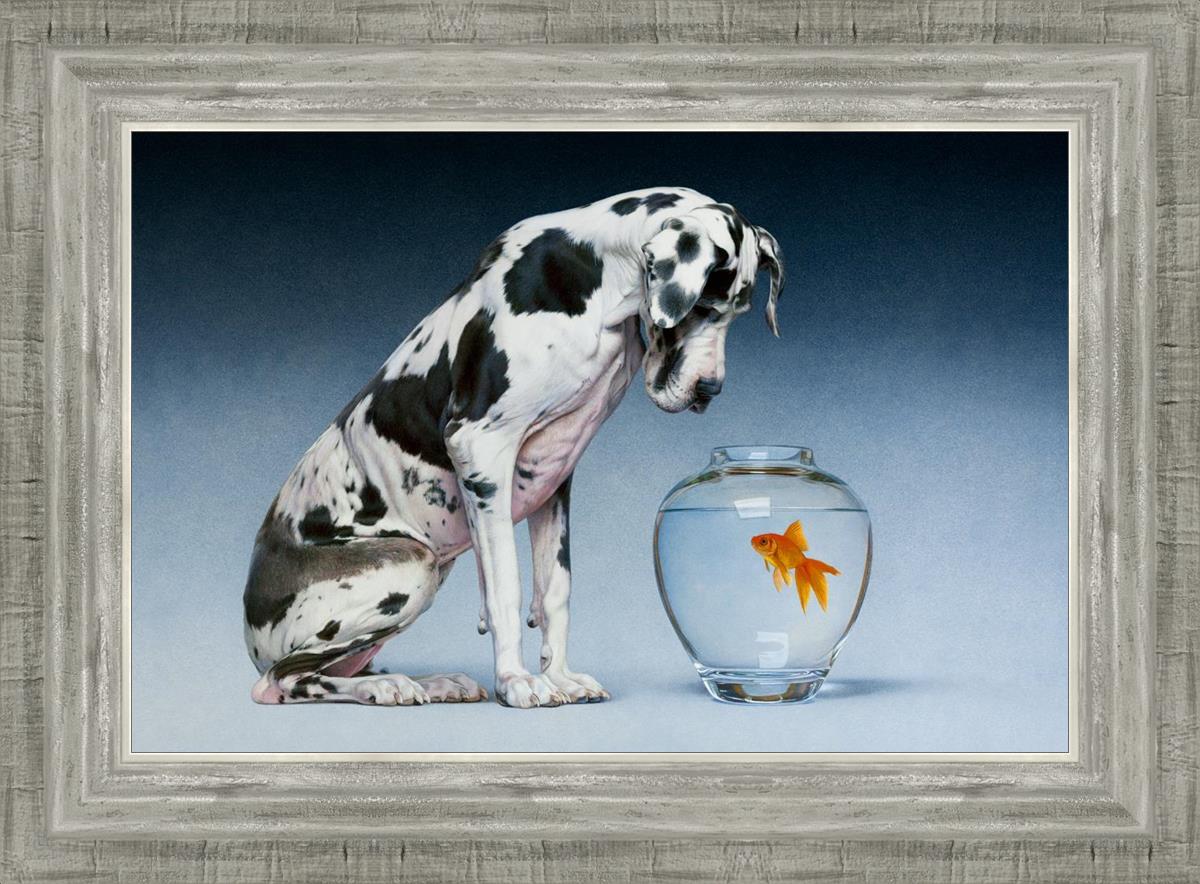 Dane And Fish By Chris Young - Premium Fishing Gear & Accessories for Outdoor Enthusiasts | Perfect for Freshwater & Saltwater Fishing Adventures
