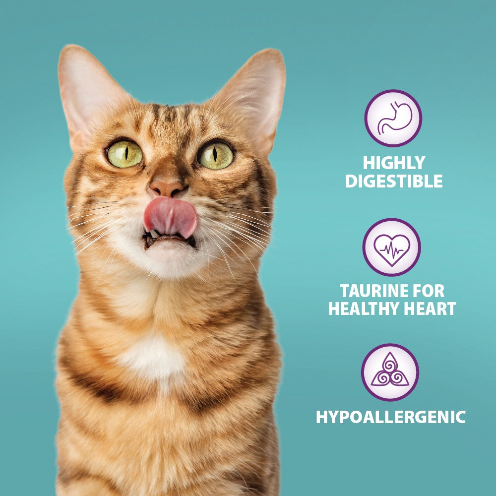 Premium Adult & Senior Cat Dry Food - Original Chicken & Brown Rice Recipe | High Protein, Grain-Inclusive Kibble for Indoor & Outdoor Cats