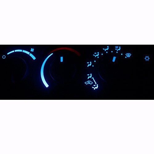 Ice Blue Bulbs