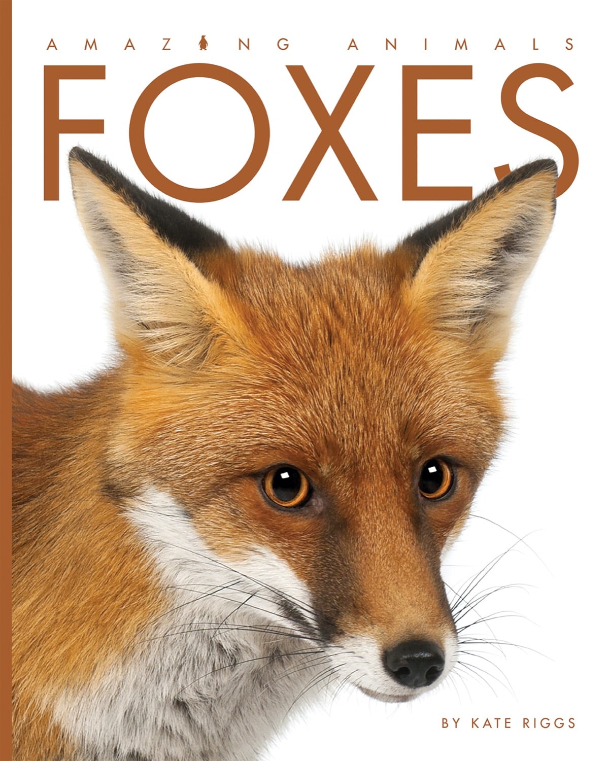 Amazing Animals (2014) - Foxes Documentary | Wildlife Nature Film | Perfect for Animal Lovers & Educational Screenings