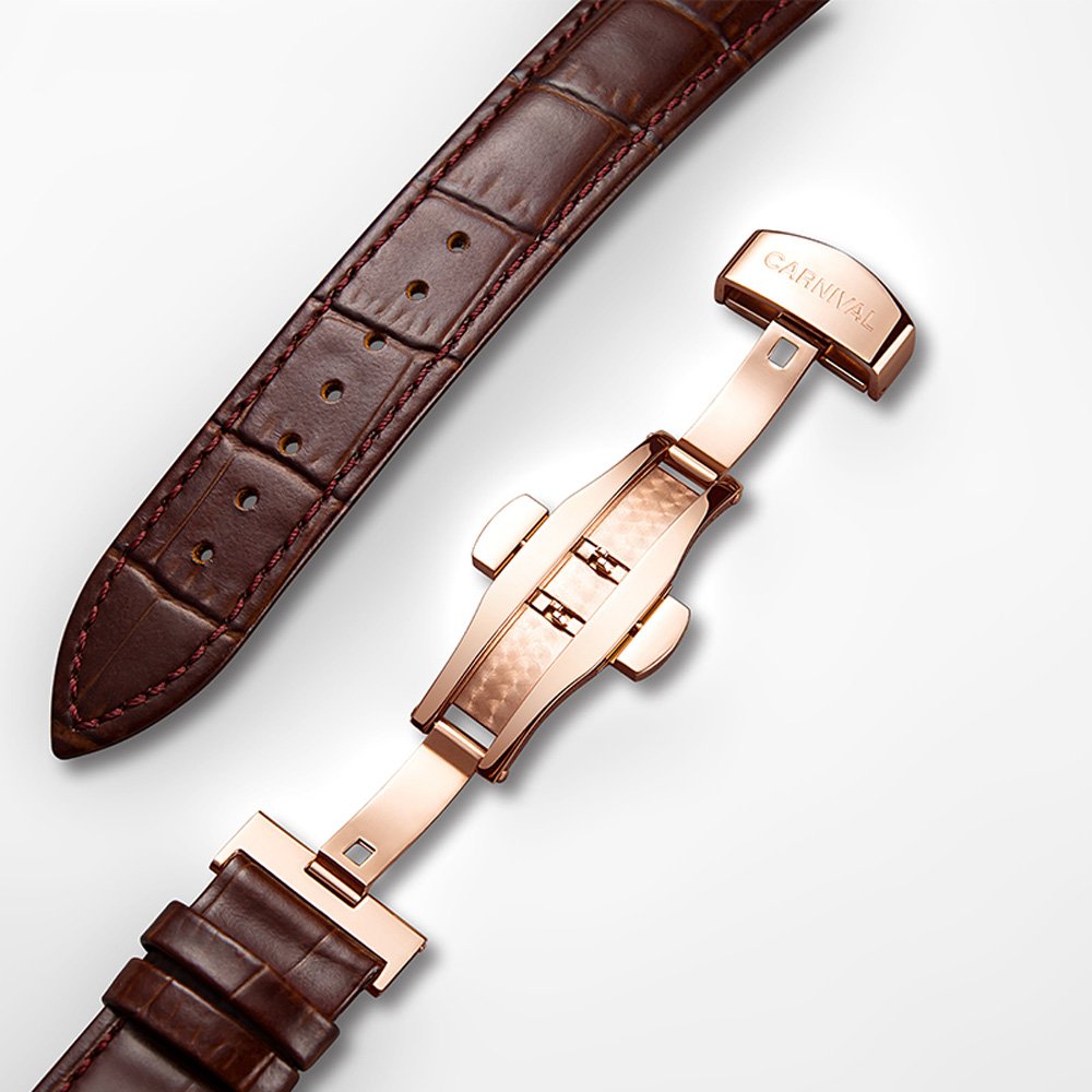 TEINTOP Japanese Automatic Men's Watch - Zodiac Animal Mechanical Carnival Watch (Rooster Brown) | Waterproof & Stainless Steel | Perfect for Business, Casual & Formal Occasions