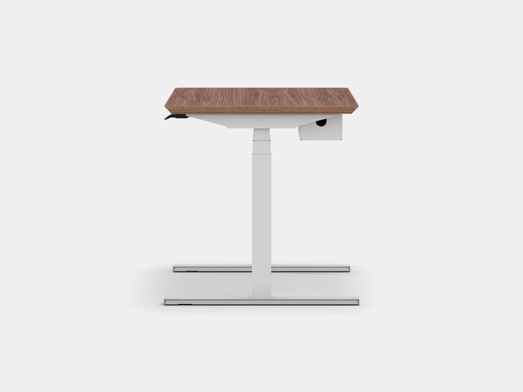 Walnut veneer
