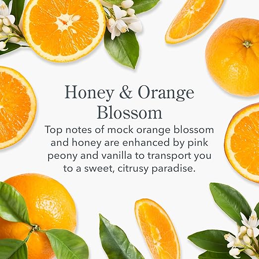 Honey & Orange Blossom Hand Cream - Ultra Moisturizing & Nourishing for Dry Skin - Perfect for Winter Care & Daily Hydration