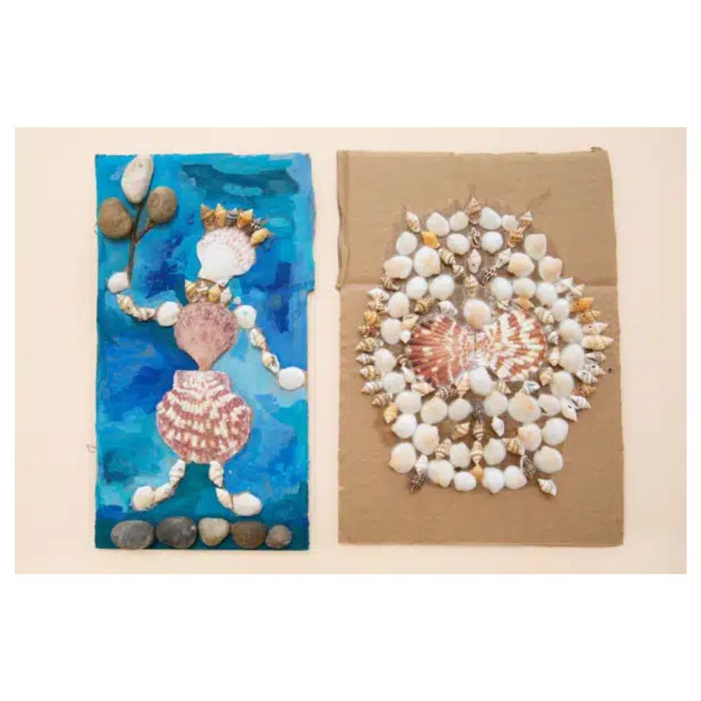 LOLA Sea Shells Collection - Natural Seashells for Beach Decor, Crafts, and Home Décor | Perfect for DIY Projects, Wedding Centerpieces, and Coastal-Themed Gifts