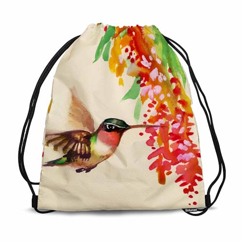 Colibri Bird