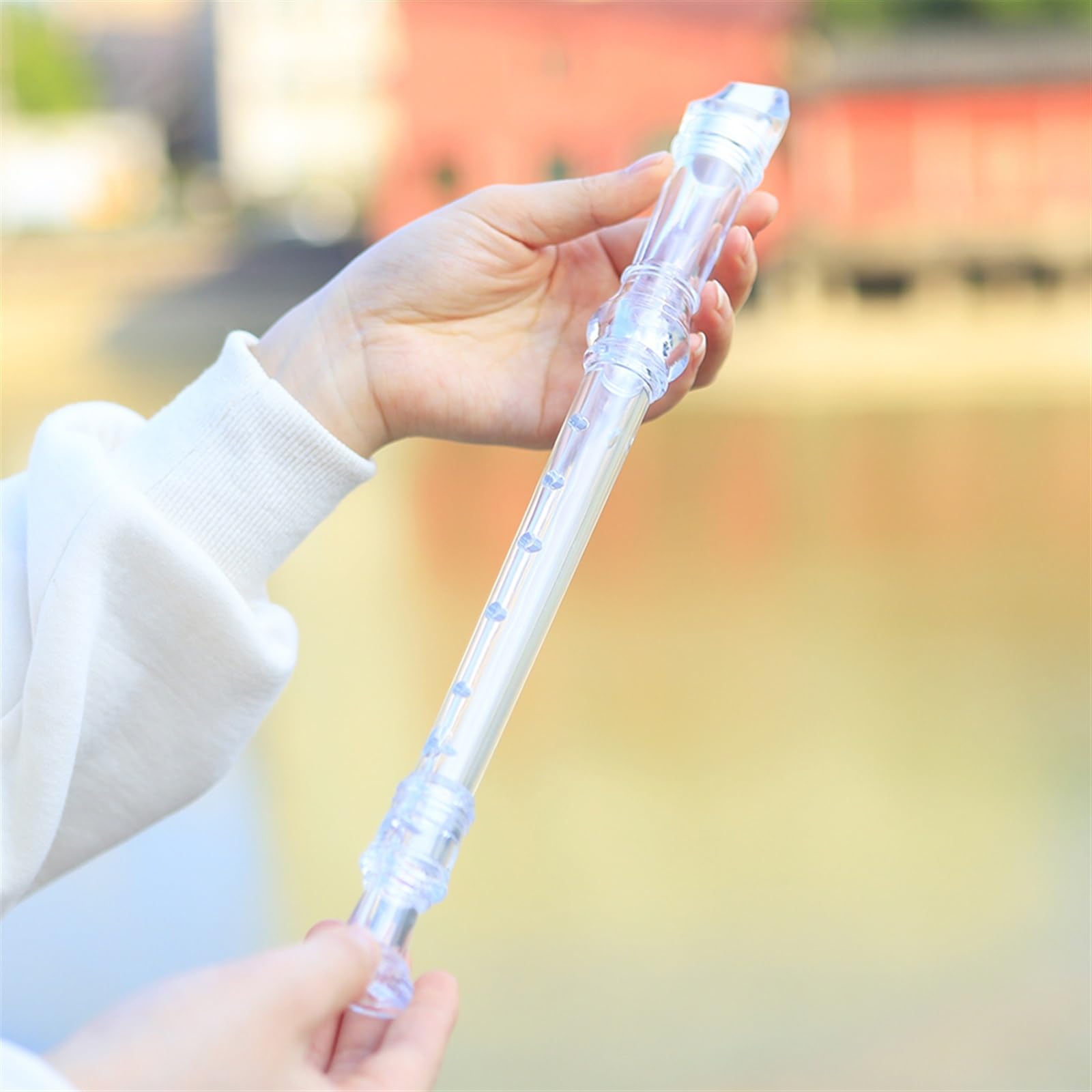 ABS Resin Recorder Flute for Beginners - 8 Hole Soprano Wind Instrument with G Tone, Clear (Ideal for Music Education, School Bands & Home Practice)