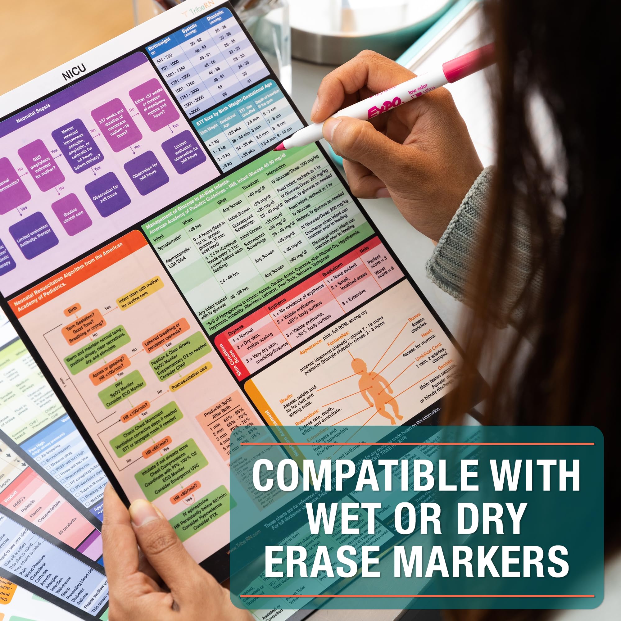 Nursing Cheat Sheets by Tribe RN - 6 Durable Medical Reference Cards for Nurses & Students | General Med, Labs, Medical Spanish, Newborn, NICU, OB/L&D, Pharmacy, Respiratory, Pediatrics | Perfect for Clinical Rotations, NCLEX Prep & Quick Patient Care Reference
