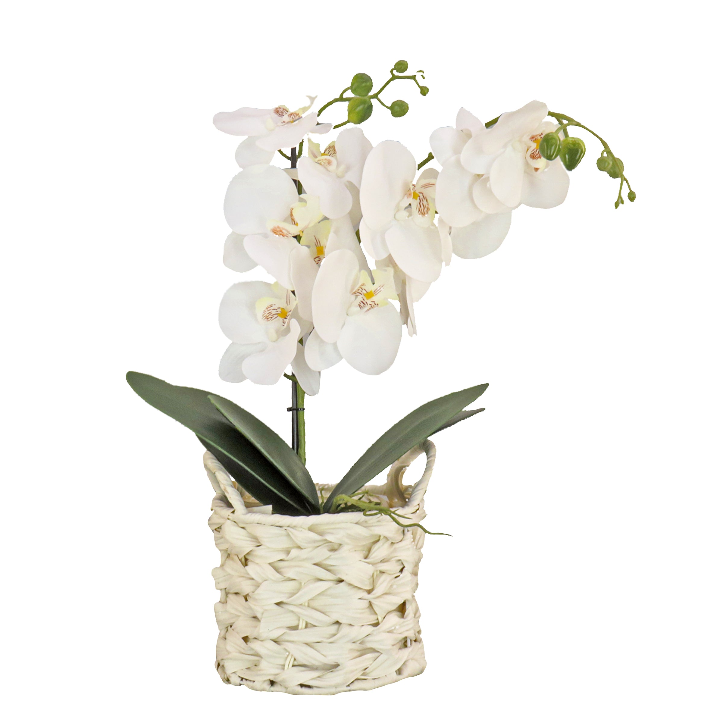 21 Inch Spring White Orchid Artificial Flower in White Basket - Perfect for Home Decor, Wedding Centerpieces, and Office Arrangements