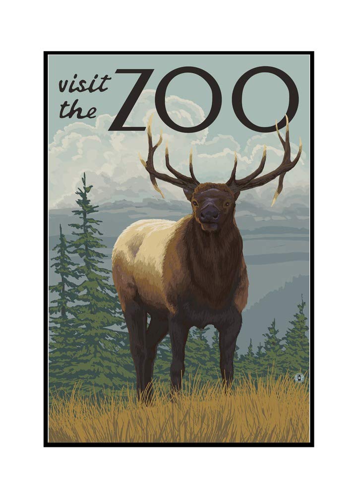 Elk Solo - Stunning Wildlife Canvas Art Print (24x36 Inch Framed Gallery Wrapped) - Perfect for Living Room, Bedroom & Office Decor