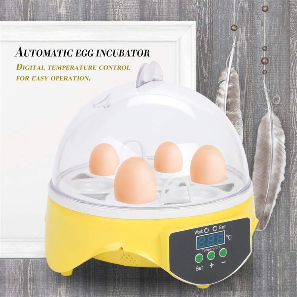 Automatic Mini Digital Egg Incubator with Temperature Control & Tray - 7 Egg Capacity for Chicken, Duck, Bird & Quail Eggs | Perfect for Home Poultry Farming, Classroom Science Projects & Backyard Hatching