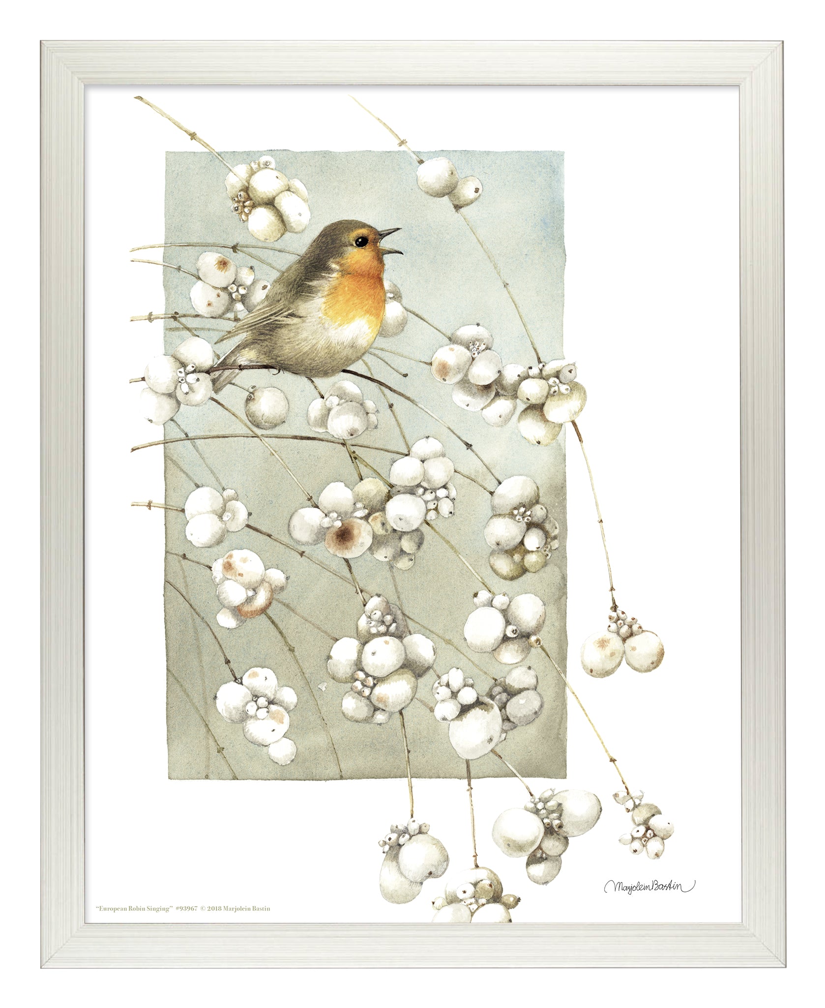 European Robin Singing Art Prints - Stunning Bird Wall Decor for Living Room, Bedroom & Office - Perfect Gift for Nature Lovers