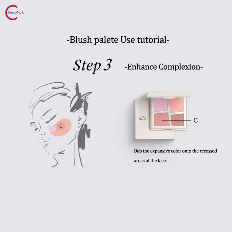 INSBAHA Primary Exploration Blush Palette - 6 Color Matte & Shimmer Makeup Set for Contouring, Highlighting & Everyday Wear | Perfect for Professional Makeup Artists & Beginners