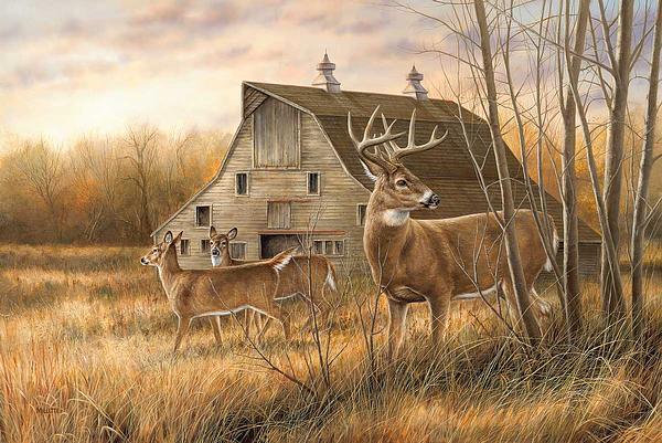Limited Edition Whitetail Deer Paper - Perfect for Scrapbooking, Framed Art & Wildlife Decor