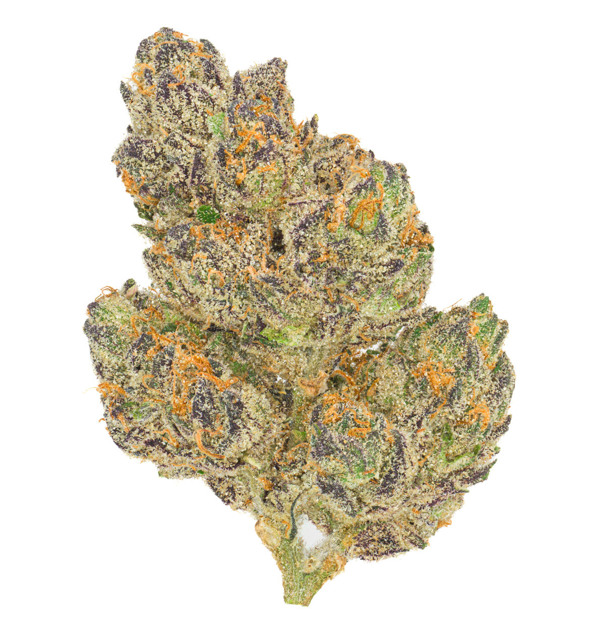 Premium Seasonal Stash Jar - Airtight & Smell Proof Container for Pemby Purp Cannabis Storage | Perfect for Home, Travel & Discreet Use