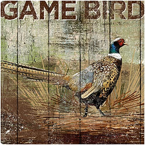 Open Season Pheasant