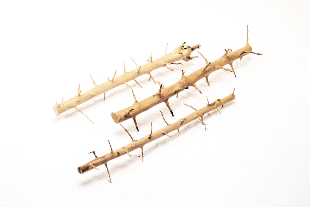 Premium Thorn Wood for DIY Crafts, Home Decor, and Woodworking Projects – Perfect for Rustic Furniture, Wall Art, and Handmade Gifts