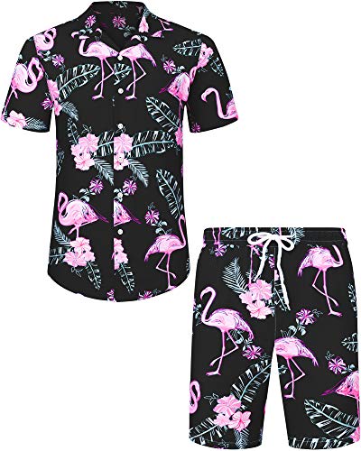 Flamingos-black