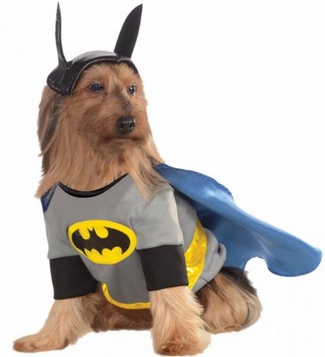 Batman Pet Costume for Large Dogs - Superhero Halloween & Cosplay Outfit for Pets | Perfect for Halloween Parties, Dress-Up & Photo Shoots