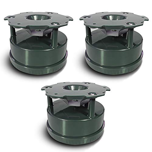 B- 3 Pack