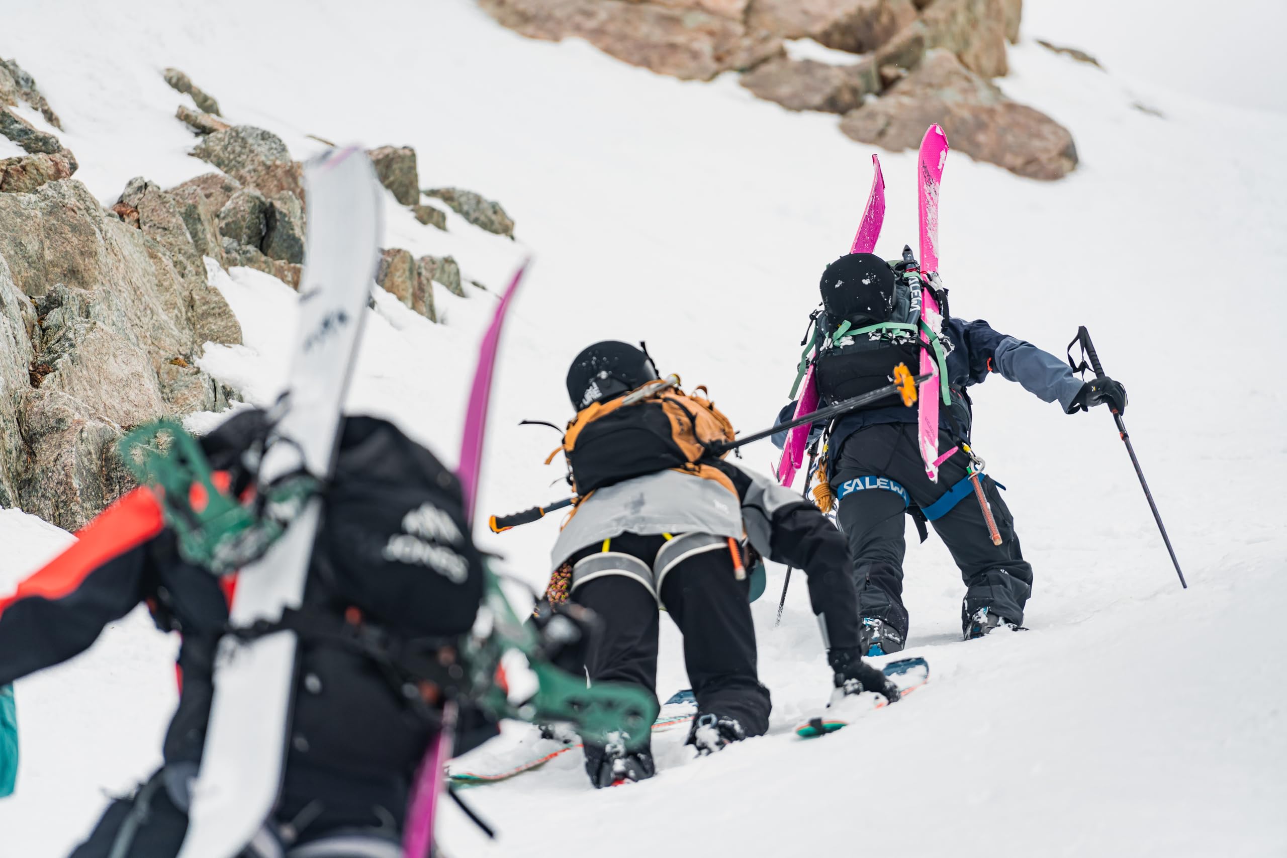 POMOCA Free Pro Climbing Skin - Ultralight Mohair-Mix Ski Skins for Backcountry Skiing | Perfect for Alpine Touring & Powder Snow Adventures