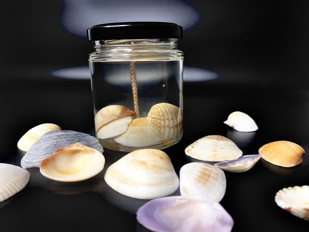 Mirage Scented Gel Candles - Shell Design with Bubblegum Fragrance, 200ml Clear Gel Wax Candle (75+ Burning Hours) | Includes Potli Bag & Free Sample | Perfect for Home Decor, Relaxation & Gift Giving