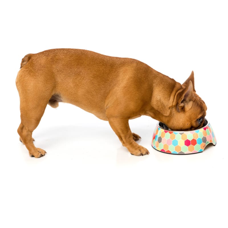 Fuzzyard The Hive Dog Bowl - Non-Slip Slow Feeder for Small Medium Large Dogs - Perfect for Mealtime & Portion Control