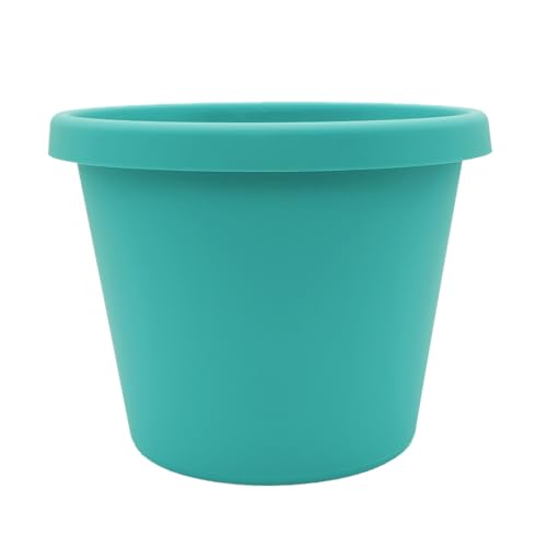 Dusty Teal