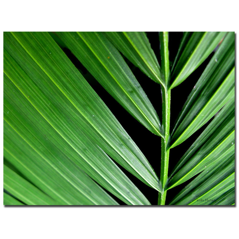 Trademark Fine Art Palm at Night Canvas Art Print by Kathie McCurdy - Tropical Beach Wall Decor for Living Room, Bedroom & Office