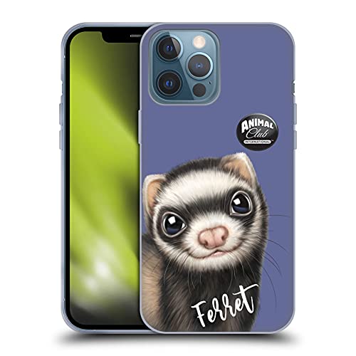 Ferret
