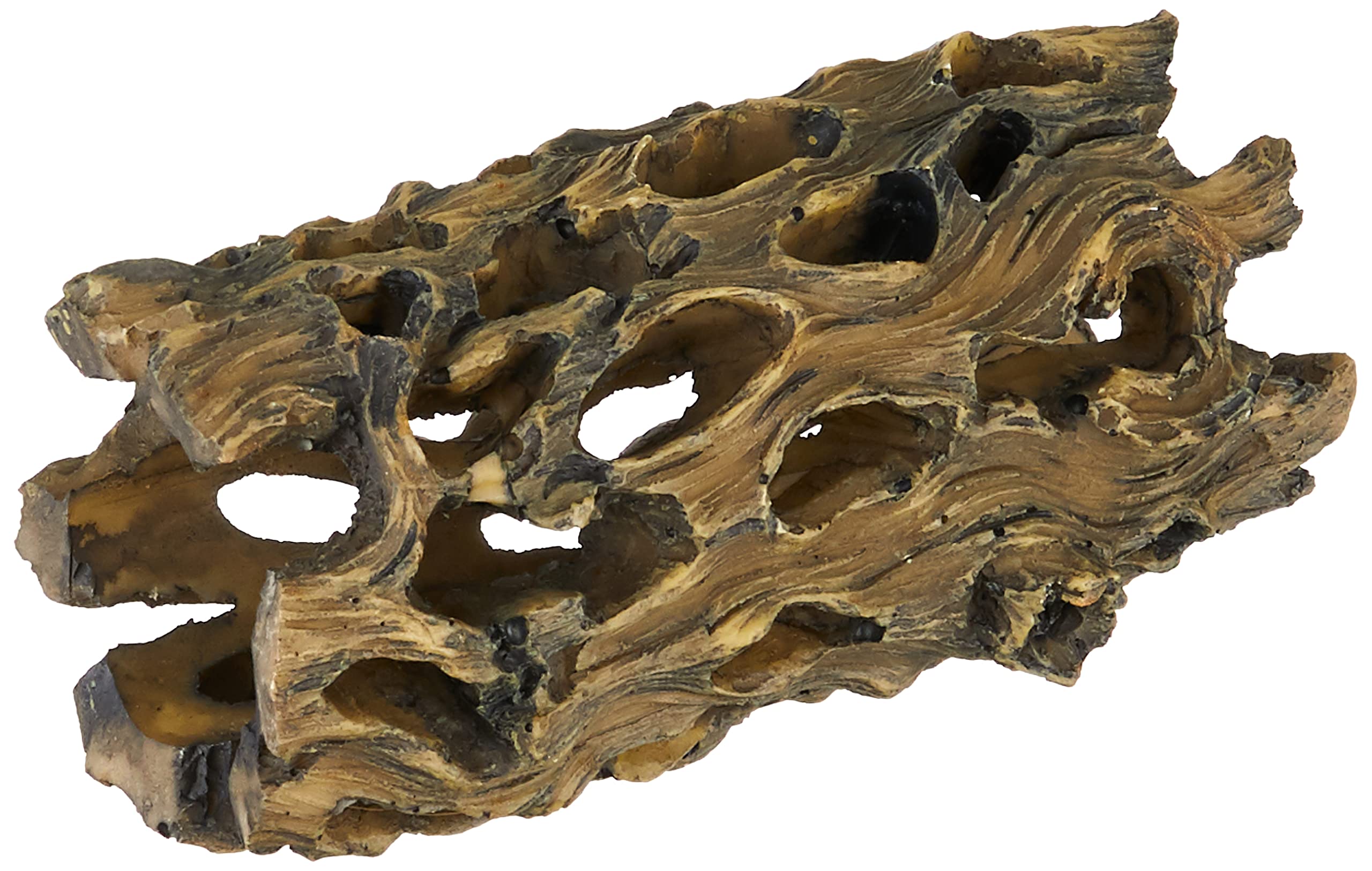 Exo Terra Small Cholla Cactus Skeleton - Natural Reptile Hideout & Climbing Branch for Terrariums, Ideal for Bearded Dragons, Geckos & Small Pets