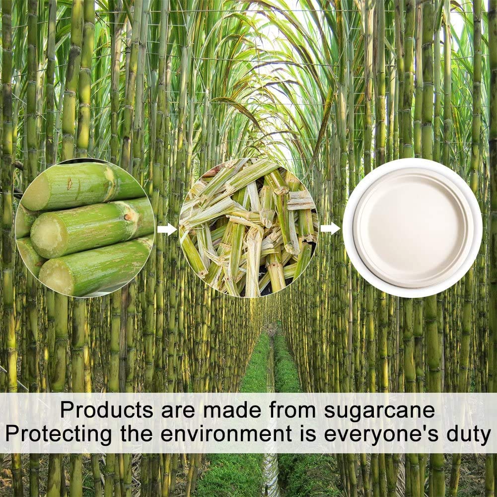 Eco-Friendly 10