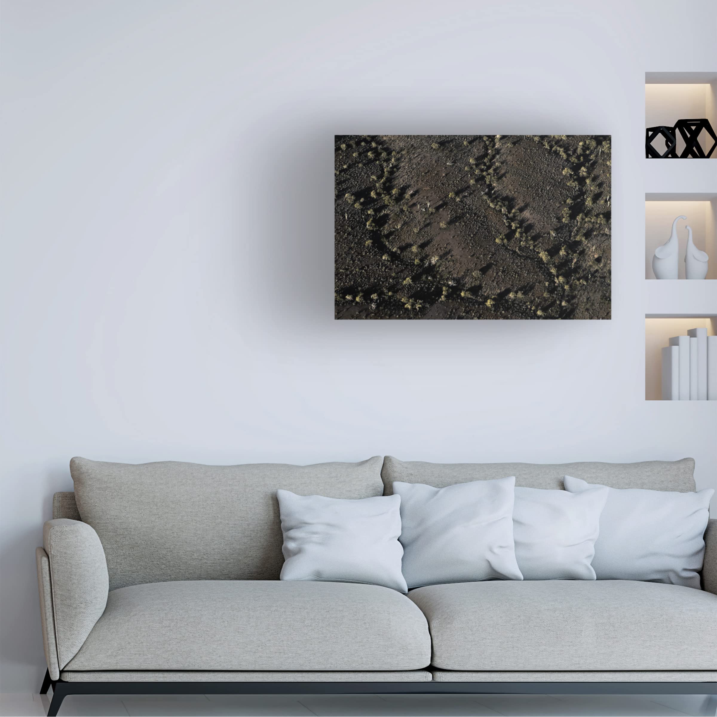 Blue Palomino 'Topography Cactus Black II' Canvas Wall Art Print - Modern Desert Landscape Painting for Living Room, Bedroom & Office Decor