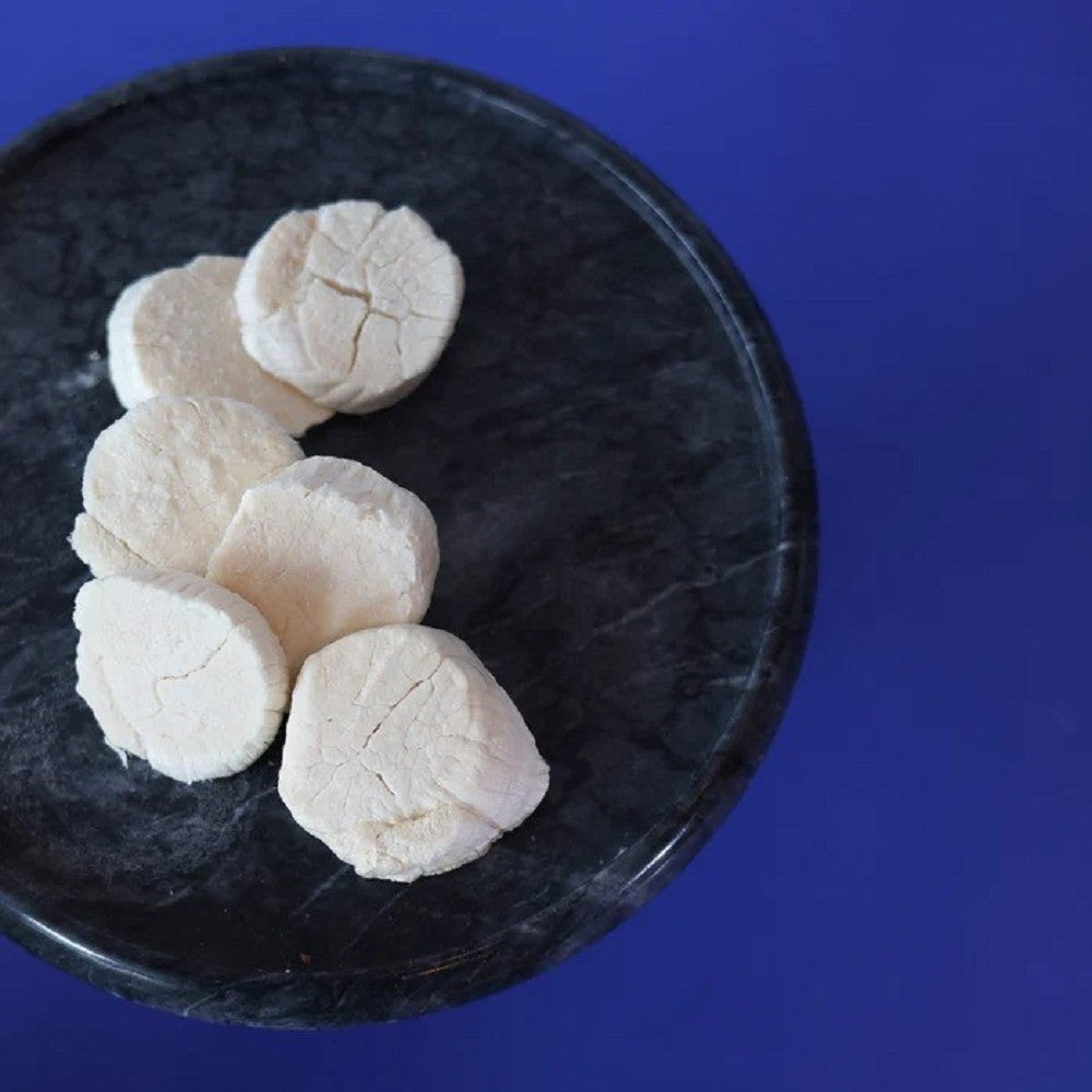 Premium Freeze Dried Hokkaido Scallop Treats for Dogs & Cats - All-Natural, High-Protein Snacks for Training, Rewards & Dental Health