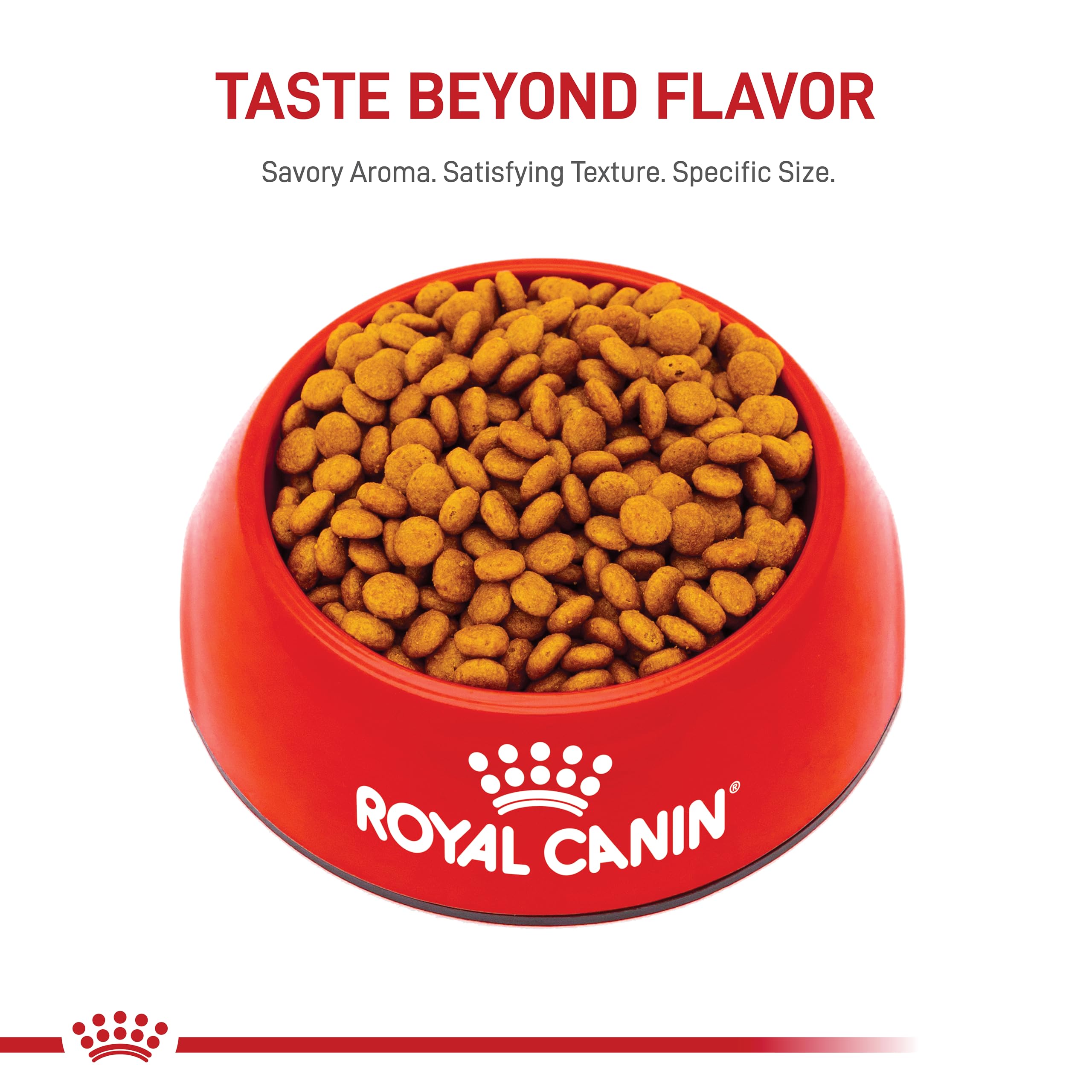 Royal Canin X-Small Adult Dry Dog Food for Small Breed Dogs - 2.5 lb Bag - Perfect for Chihuahuas, Yorkies & Toy Breeds - High Protein Nutrition for Indoor & Apartment Living