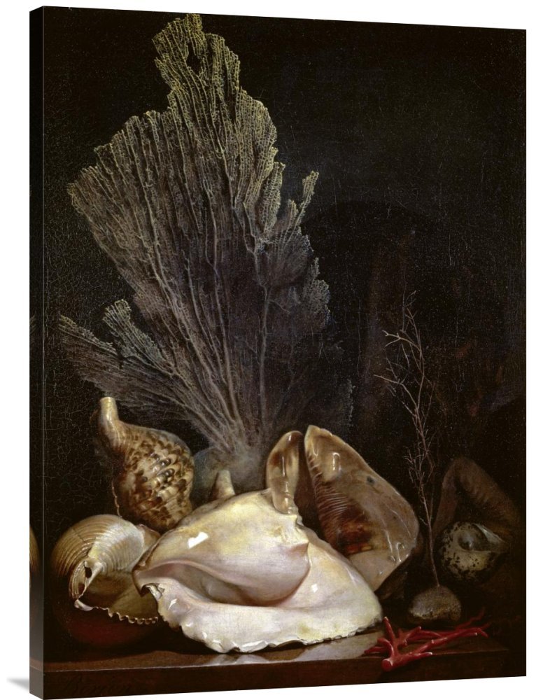 Antoine Berjon Coquillages Et Madreposes Canvas Wall Art Print - Gallery Wrap Giclee - Premium Home Decor for Living Room, Bedroom & Office