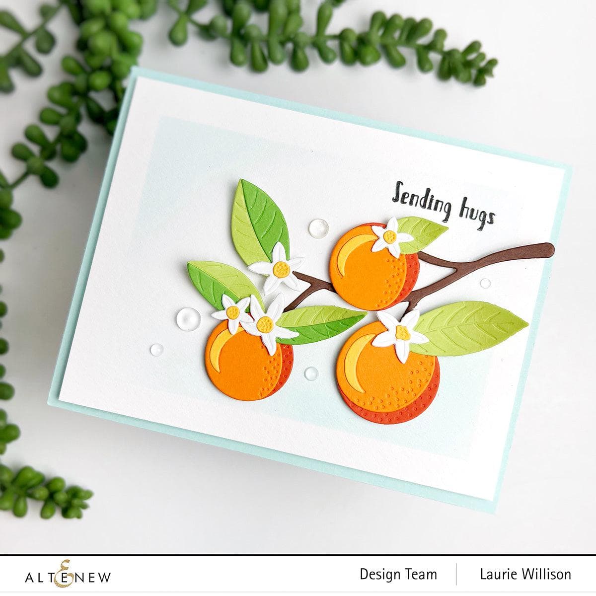 Orange Blossom Die Set for Scrapbooking, Card Making & DIY Crafts - Floral Cutting Dies for Paper Crafting, Invitations & Home Decor