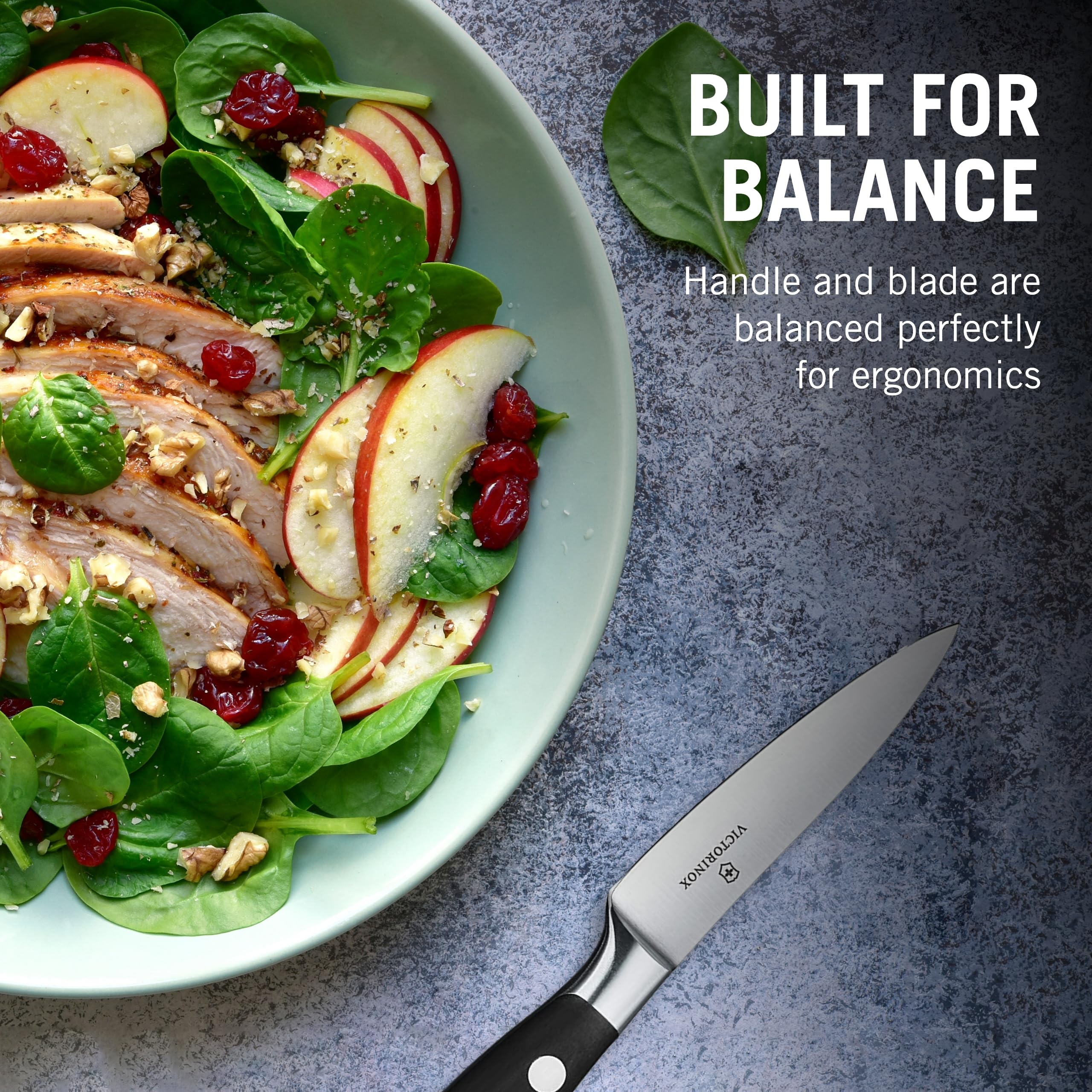 Victorinox Grand Metre Forged Knife - High-Quality Stainless Steel Kitchen Knife for Professional Chefs & Home Cooking - Perfect for Slicing, Dicing, and Chopping Vegetables, Meat, and Fruits