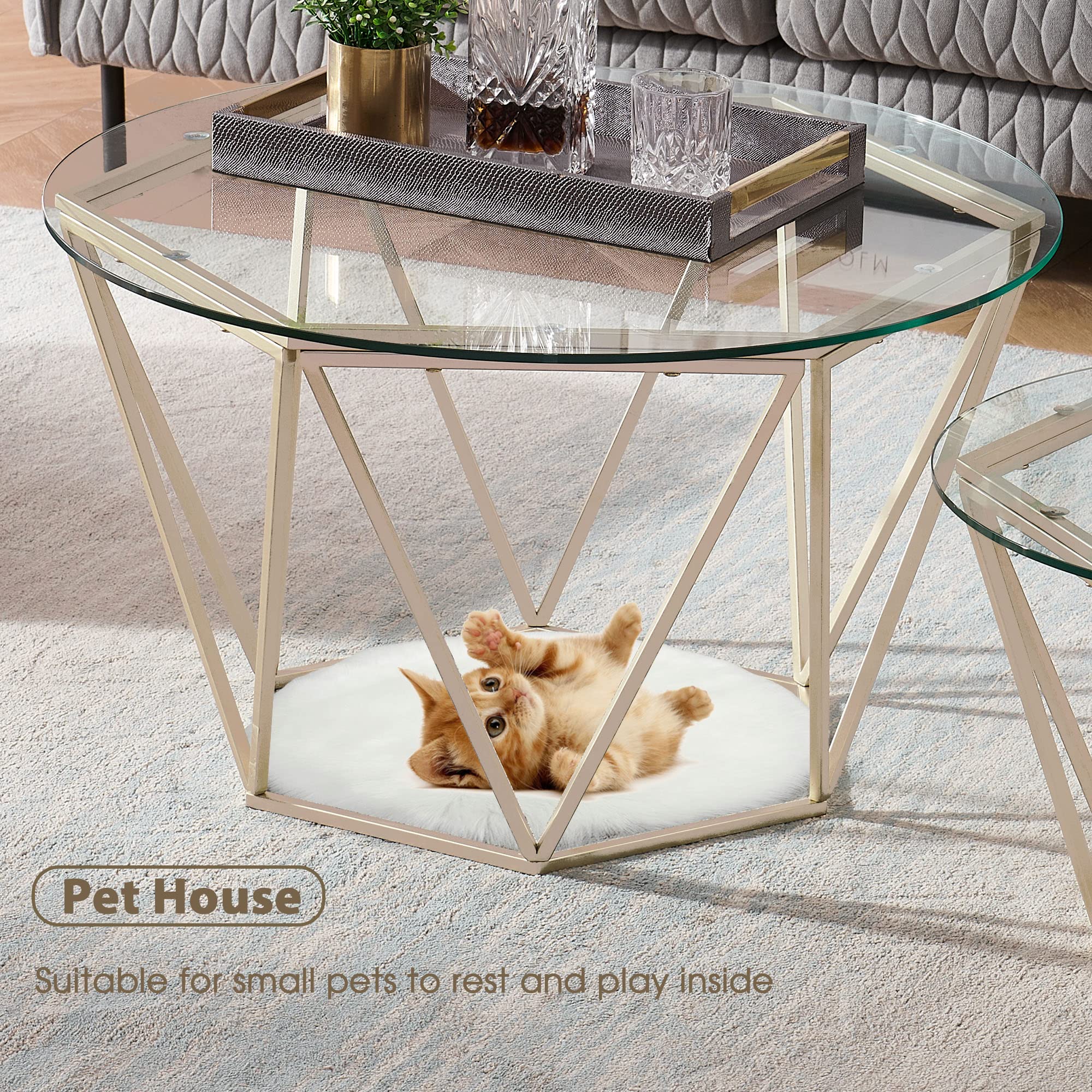 ivinta 2-Piece Round Nesting Coffee Table Set - Modern Tempered Glass Living Room Tables with Gold Metal Frame Legs (31.5 & 23.6 Inch) - Perfect for Small Spaces, Apartments & Lounge Areas
