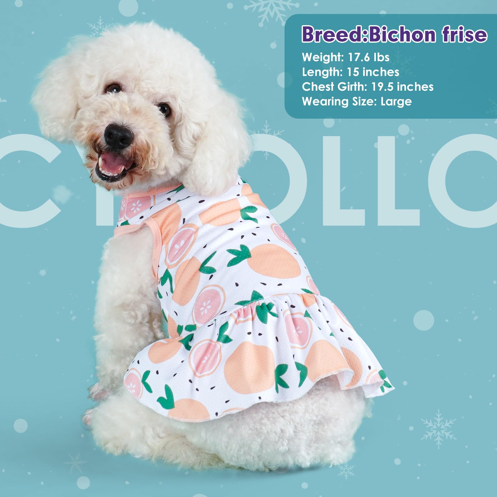 Cute Fruit Print Dog Dress - Soft & Breathable Puppy Skirt for Small Dogs, XS Size - Perfect for Parties, Photos & Daily Wear