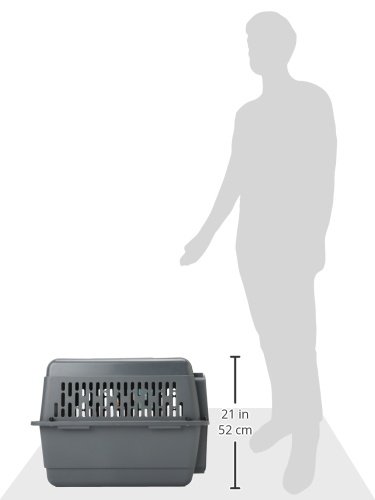 Petmate ASPEN PET Medium Breeds Cat, Chicken & Dog Kennel - Durable Travel Carrier for Small Animals - Dark Gray/Black - Made in USA - Perfect for Vet Visits, Air Travel & Home Comfort