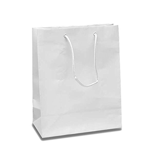 25 Pack Medium White Gift Bags with 8
