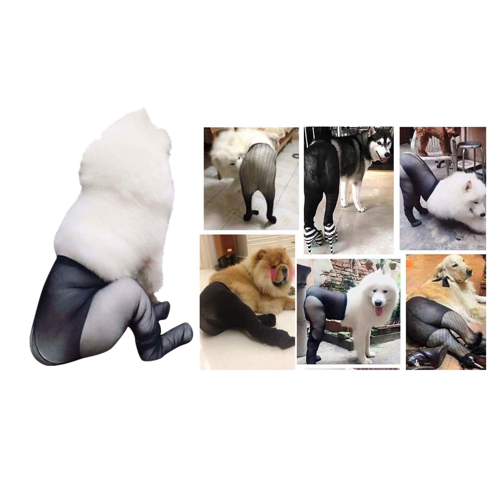 Funny Pet Fishnet Socks for Dogs & Cats - Sexy Net Stockings for Pet Photography & Costume Parties - Perfect Gift for Pet Lovers (Black)