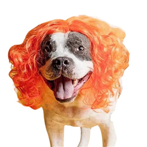 Funny Pet Wigs for Cats & Dogs - Adjustable Elastic Band Cosplay Costume Headwear in Pink, Orange & Gold | Perfect for Halloween, Christmas Parties & Pet Dress-Up Events (Orange)