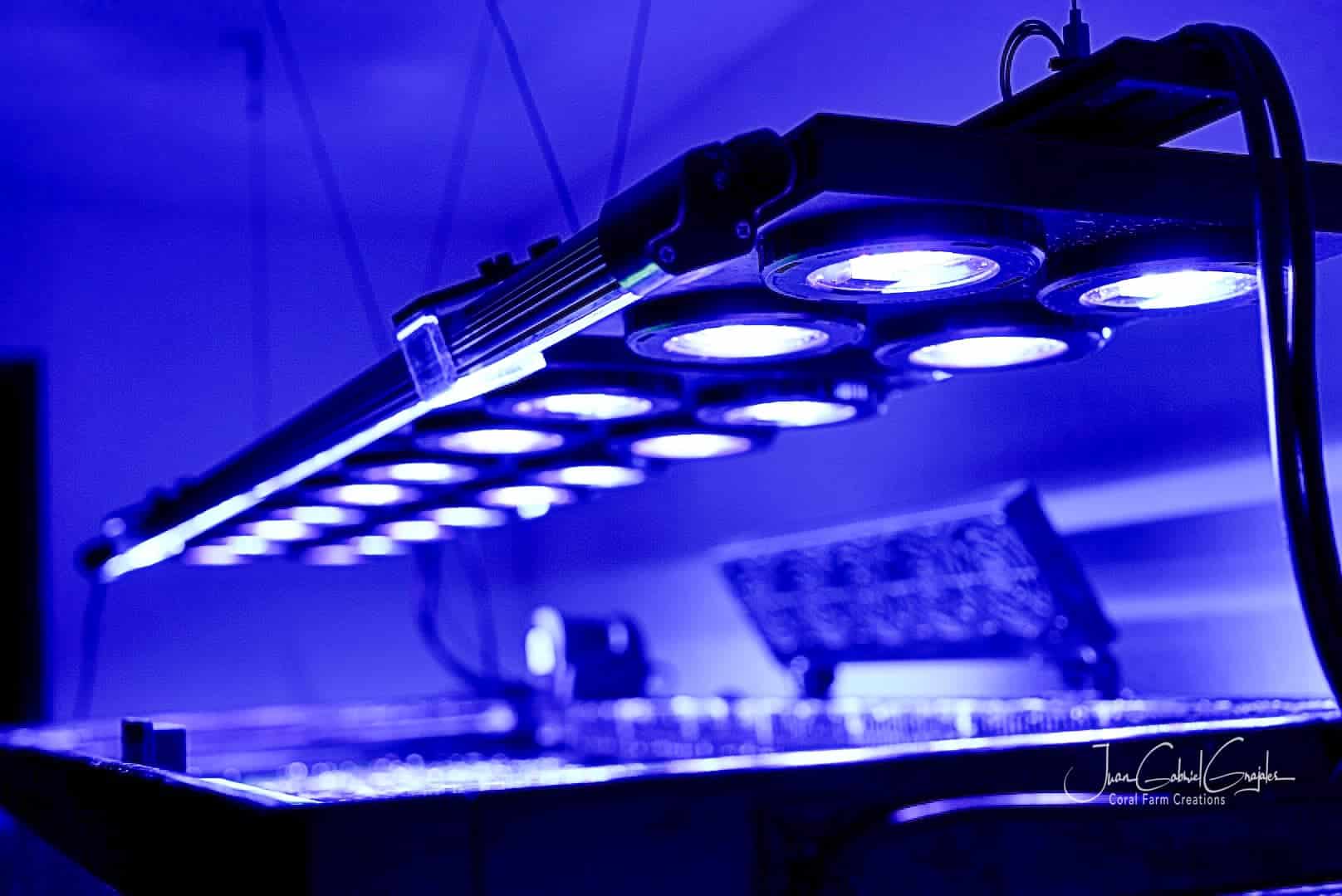 Beast Mode SPS Lighting Bundle - Full Size Range for Coral Reef Aquariums | Perfect for Saltwater Tanks & Marine Life Growth