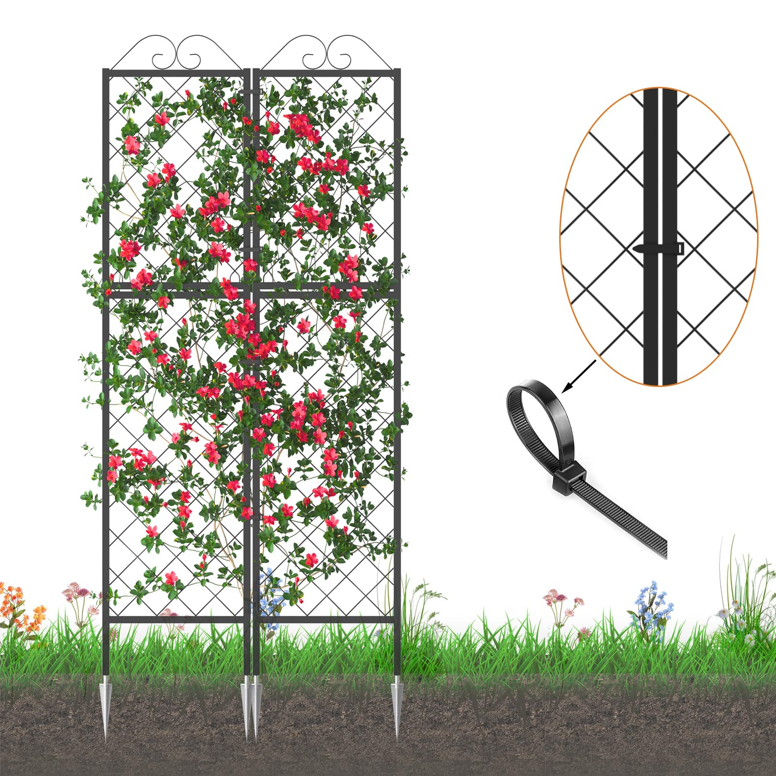 Zhongma 2 Pack 77.2 Inch Tall Metal Garden Trellis for Climbing Plants - Rust-Resistant Plant Support for Flowers, Vegetables, Vines | Perfect for Outdoor Gardens, Backyard Landscaping & Vertical Gardening